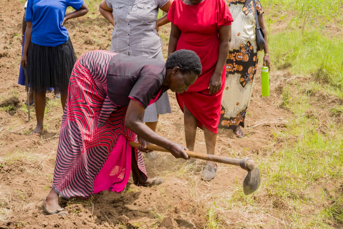 Agricultural Coordinator