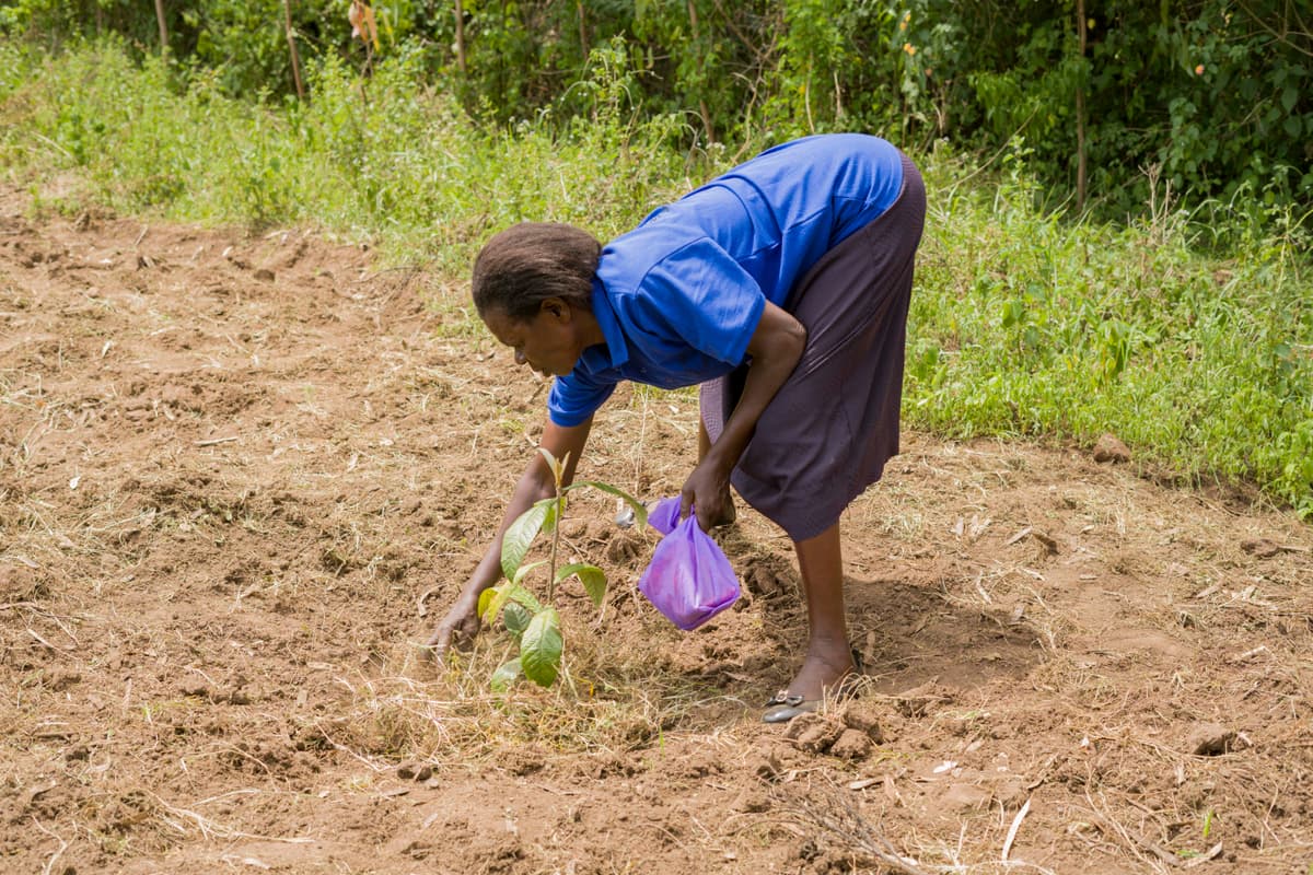 Seeds of Change: Agroecology Training in Nyatike